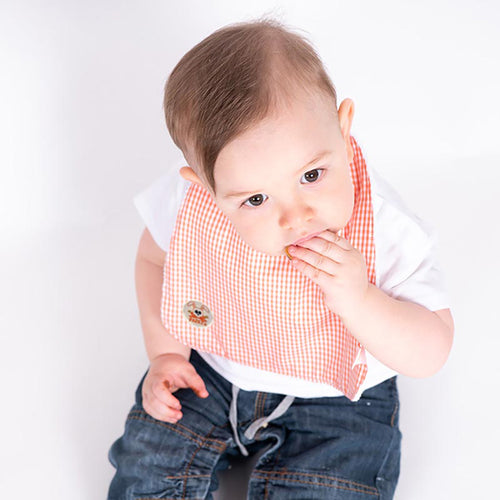 Bavoir Bébé en Coton Bio Double Face — Vichy